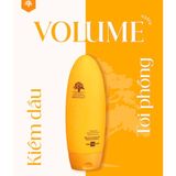  Dầu gội - Dầu xả kiềm dầu tạo phồng Arganmidas Volume 450ml (Mới) 