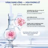  Mặt Nạ Mắt DIKIKI Giảm Quầng Thâm Mắt Mờ Nếp Nhăn Chống Lão Hóa Làm Sáng Da Dưỡng Ẩm Sâu 