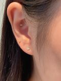  14K Teardrop Piercing 
