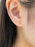  14K Leaf Piercing 