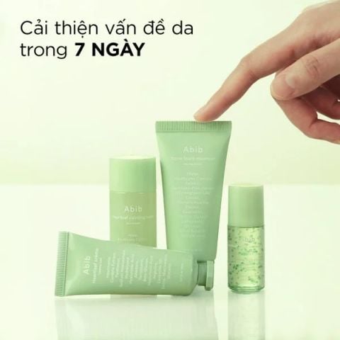  Bộ Dưỡng Làm Dịu Da Abib Heartleaf Calming Trial Kit 