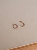  14K Basic Cubic Hoops (3 size S, M, L) 