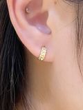  14K Hammered Texture Hoops (M) 