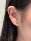  14K The Lucky Bean Piercing 