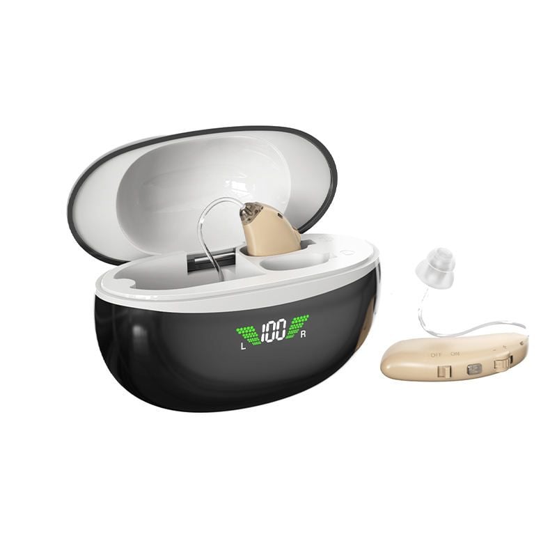 Cặp máy trợ thính đeo vành tai GM-362T