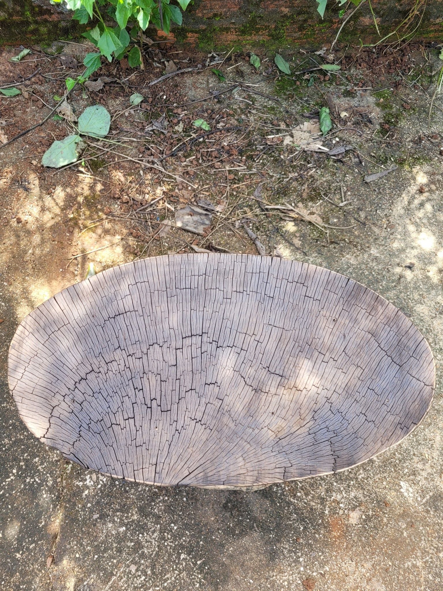  ĐÔN KÊ GỖ SAO N29 x R17 x D10 cm 