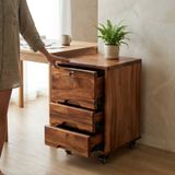  TỦ BÀN LÀM VIỆC C70 x R40 x S50 cm 
