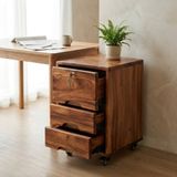  TỦ BÀN LÀM VIỆC C70 x R40 x S50 cm 