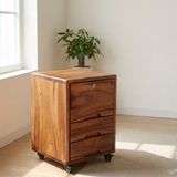  TỦ BÀN LÀM VIỆC C70 x R40 x S50 cm 