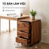  TỦ BÀN LÀM VIỆC C70 x R40 x S50 cm 