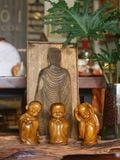  BỘ BA CHÚ TIỂU 