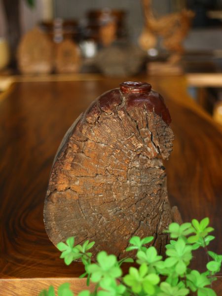  BÌNH GỖ LŨA PHƯỢNG RỪNG 