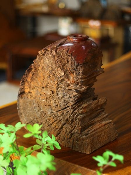  BÌNH GỖ LŨA PHƯỢNG RỪNG 