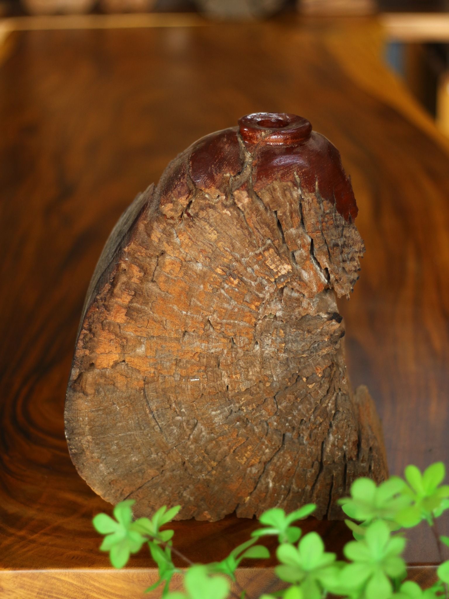  BÌNH GỖ LŨA PHƯỢNG RỪNG 