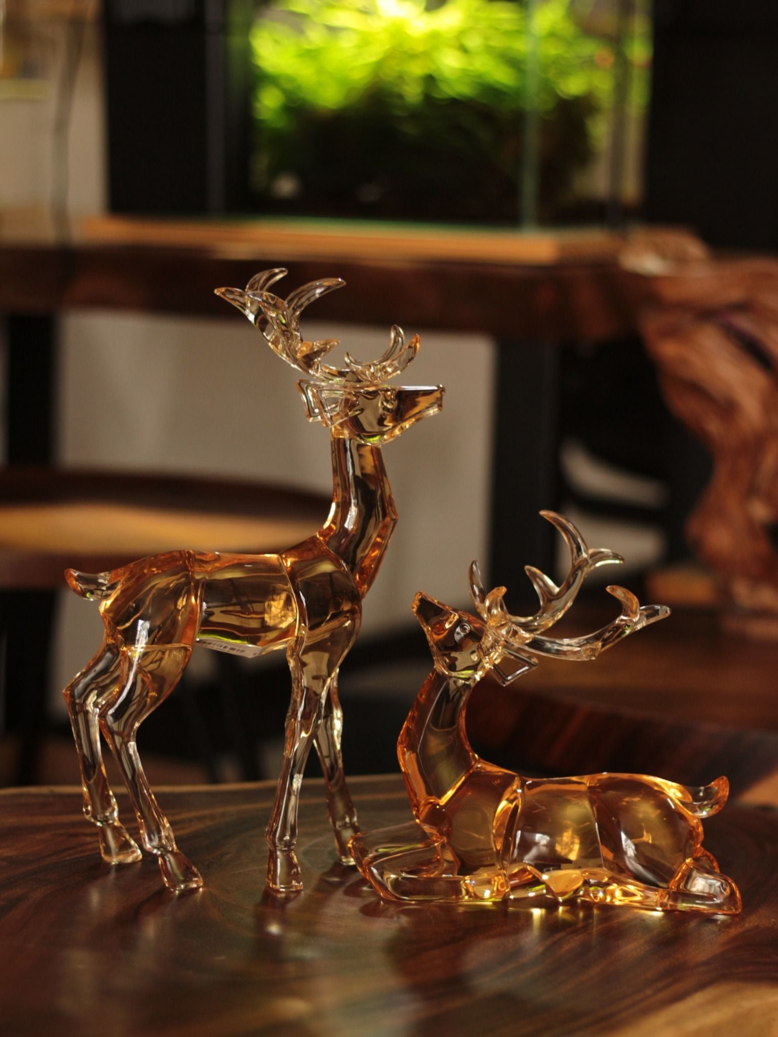  TƯỢNG HƯƠU TRONG SUỐT 