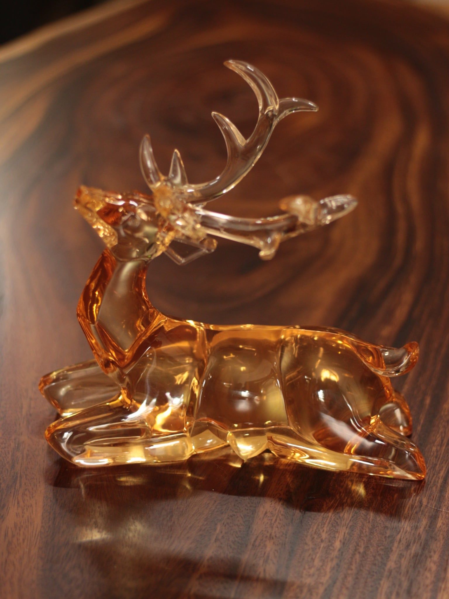  TƯỢNG HƯƠU TRONG SUỐT 