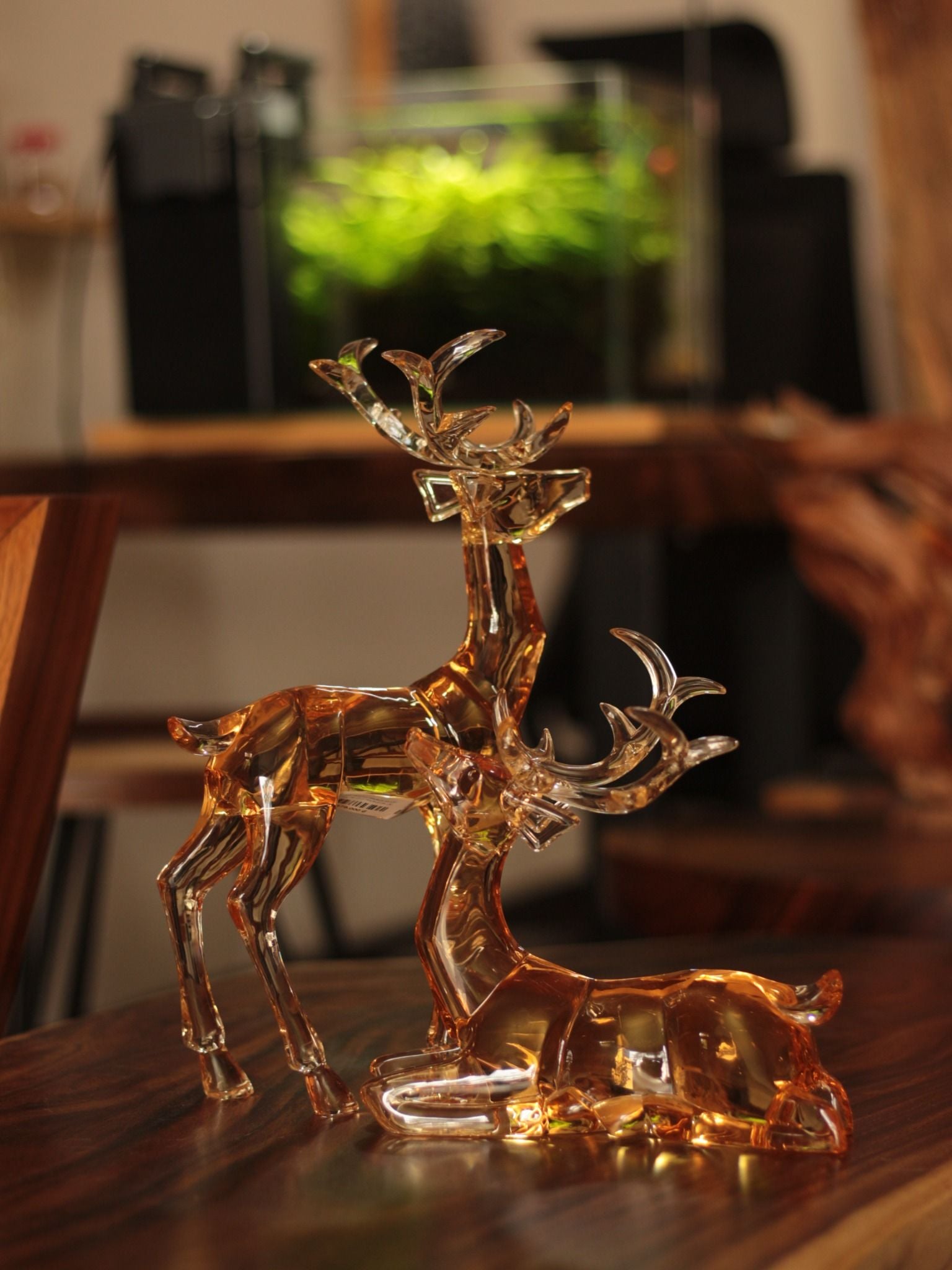  TƯỢNG HƯƠU TRONG SUỐT 