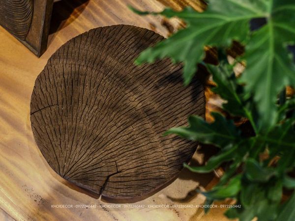  ĐÔN KÊ GỖ SAO TRÒN 32 x 10 cm 