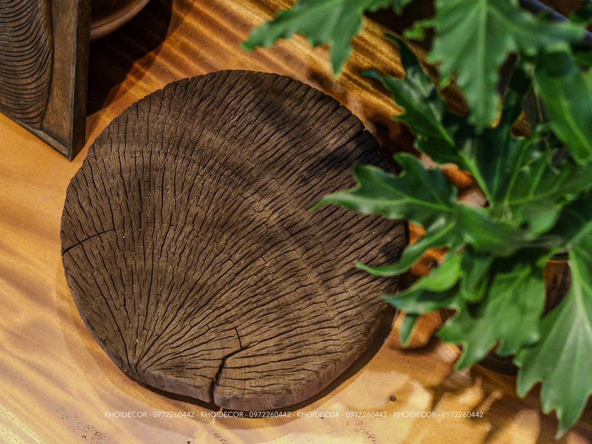  ĐÔN KÊ GỖ SAO TRÒN 32 x 10 cm 