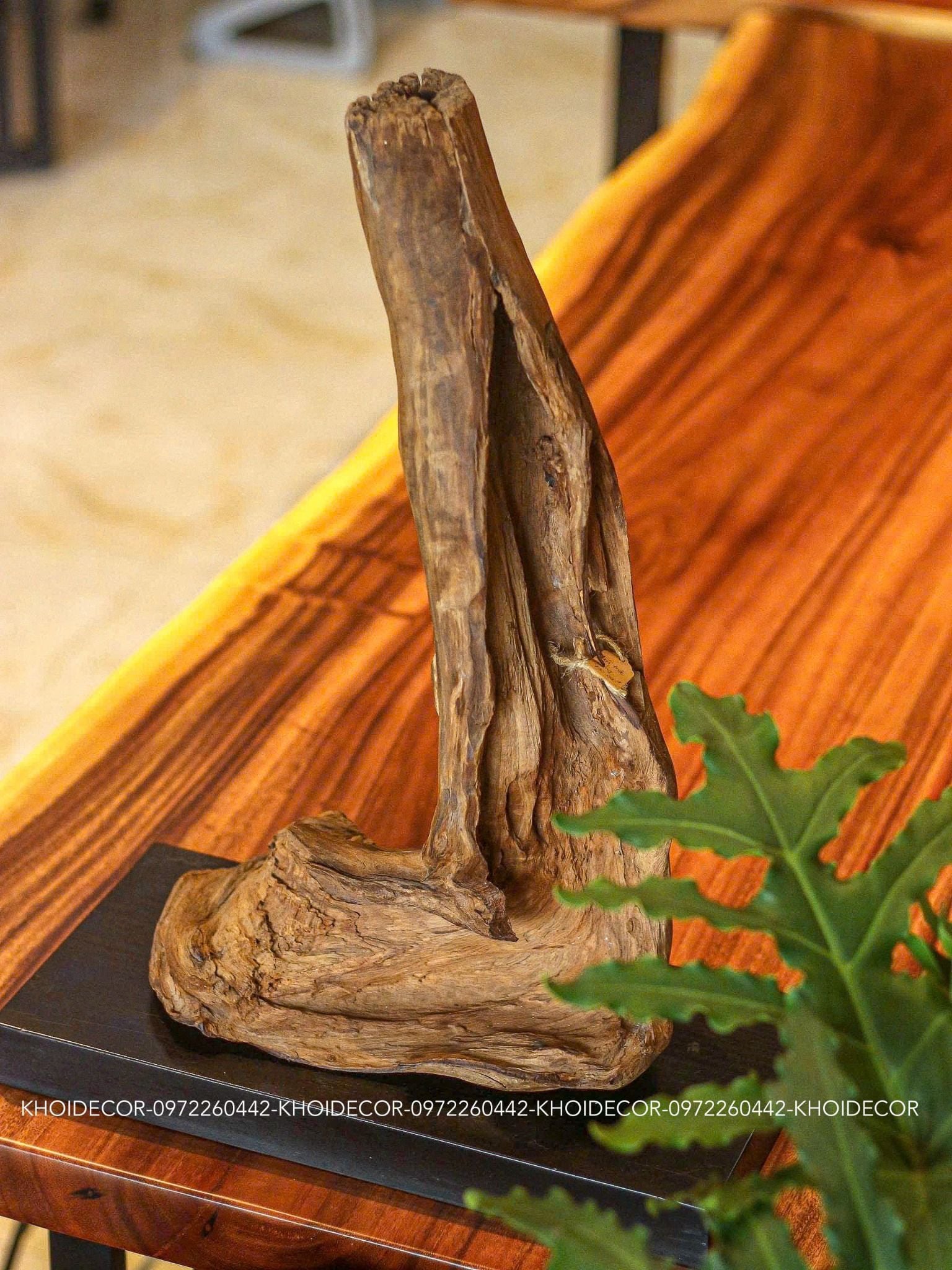  SET LŨA TRẮC - C49 x N30 x S17 