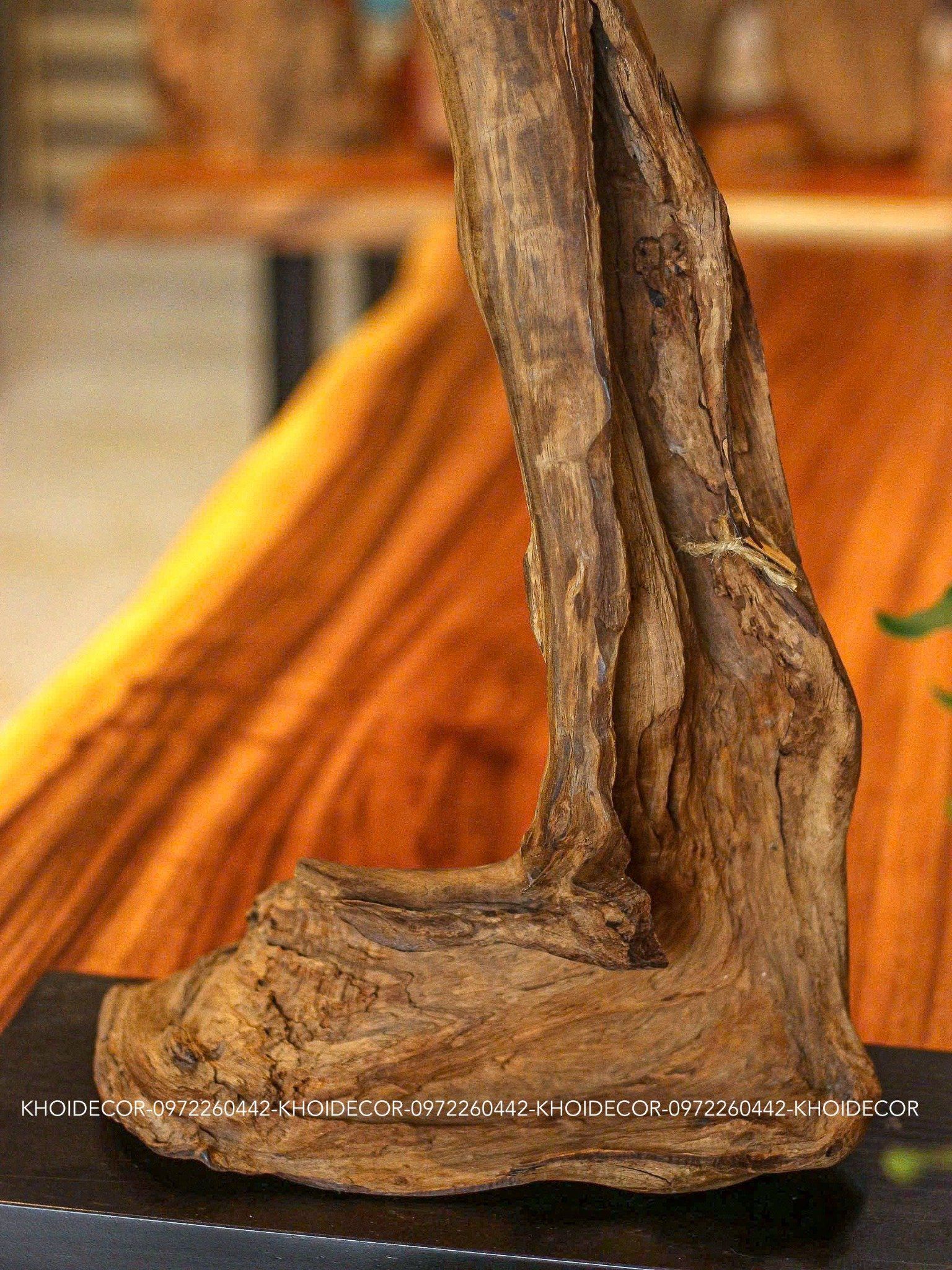  SET LŨA TRẮC - C49 x N30 x S17 