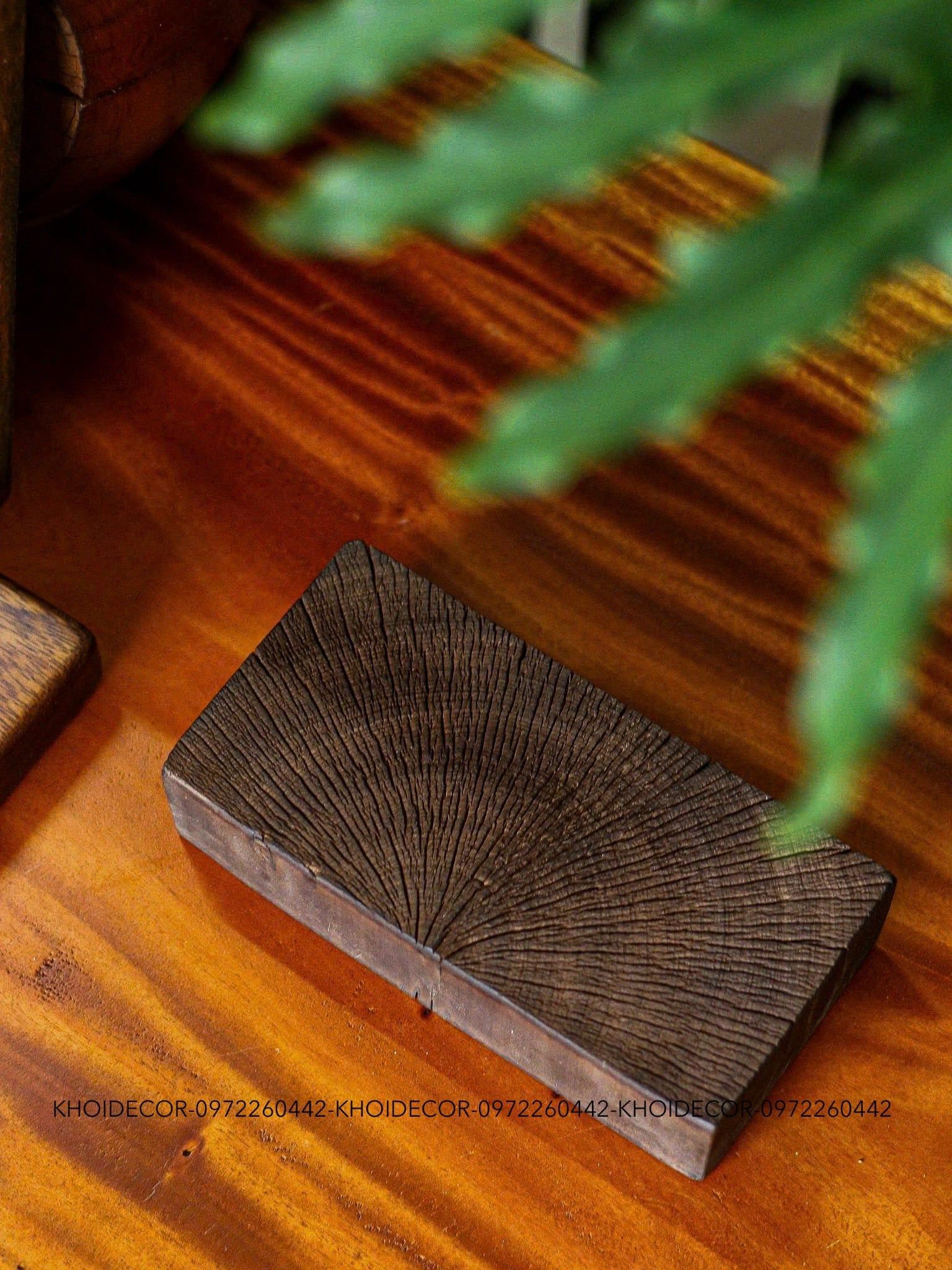  LŨA SAO DECOR - N20 x R10 x D5 cm 