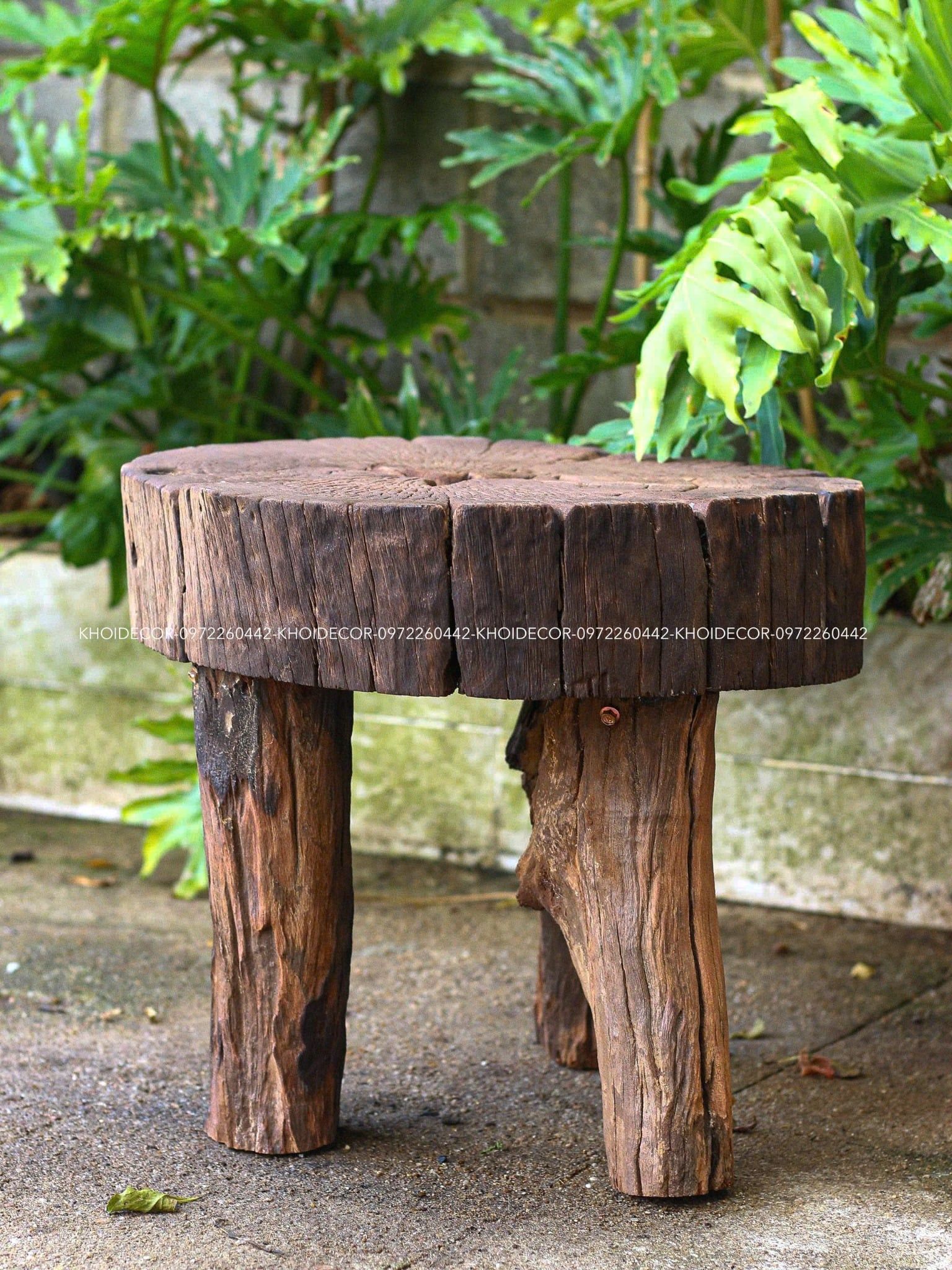  BÀN CÀ CHÍT VÀNG - 45 x 40 cm 