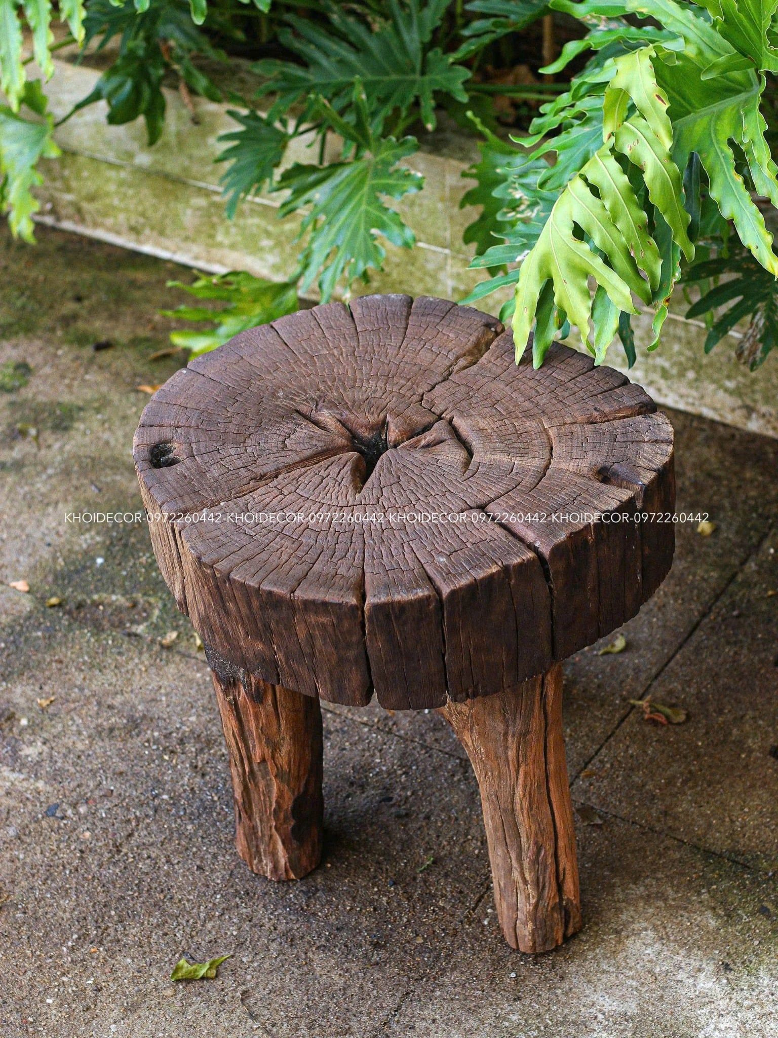  BÀN CÀ CHÍT VÀNG - 45 x 40 cm 