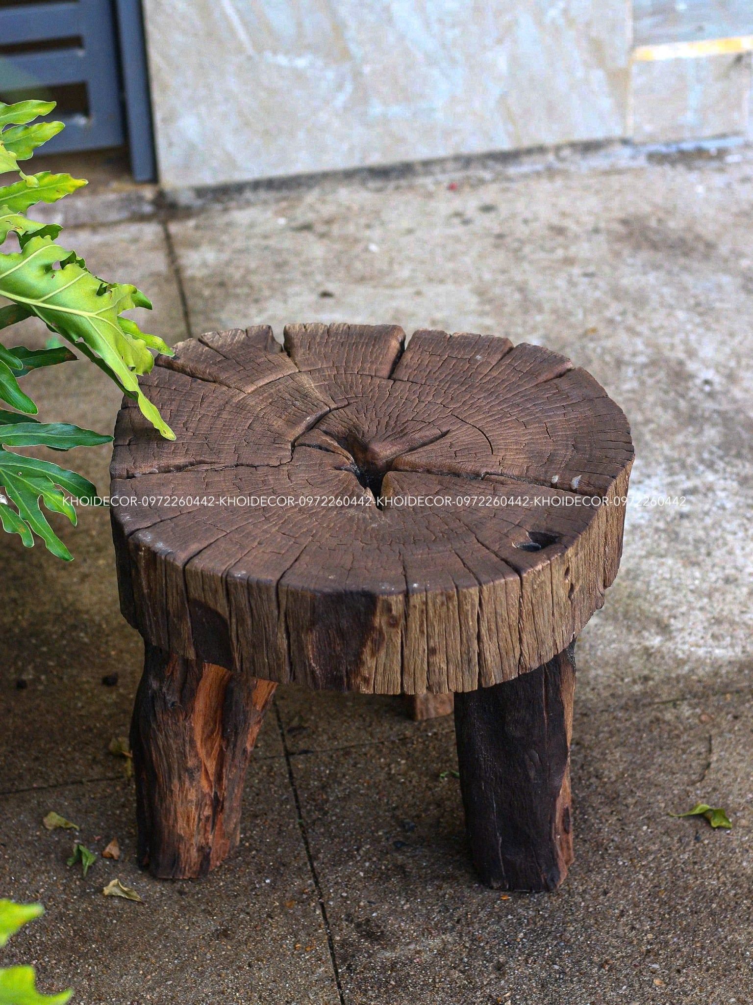  BÀN CÀ CHÍT VÀNG - 45 x 40 cm 