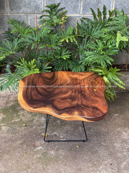  BÀN GỖ ME TÂY 80 x 75 x 4,5 cm 