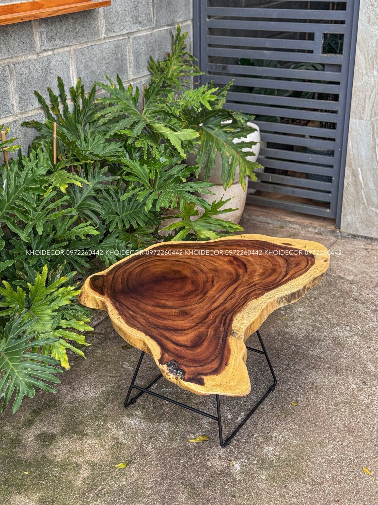  BÀN GỖ ME TÂY 90 x 90 x 5 cm 