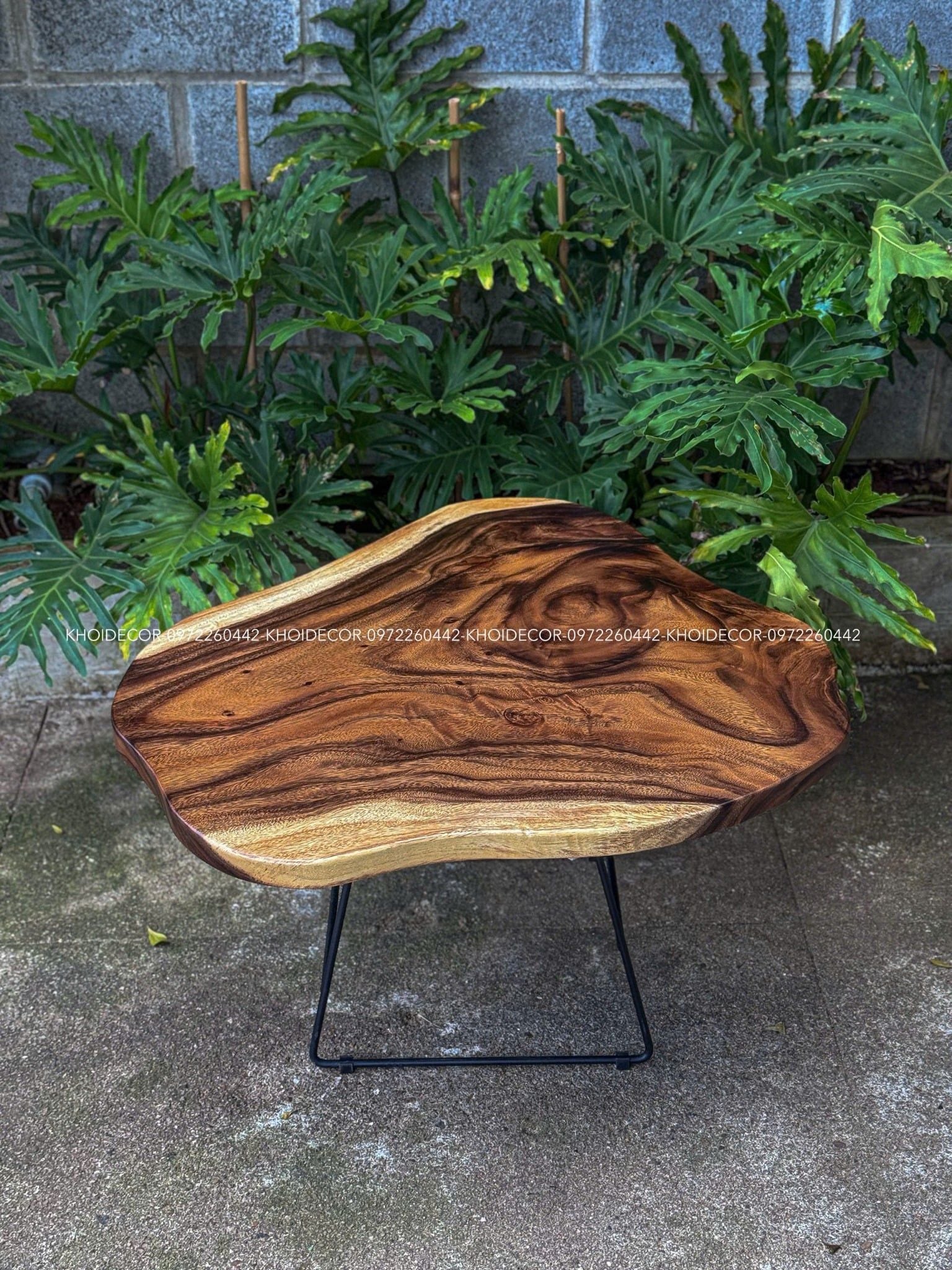  BÀN GỖ ME TÂY 79 x 75 x 3,5 cm 