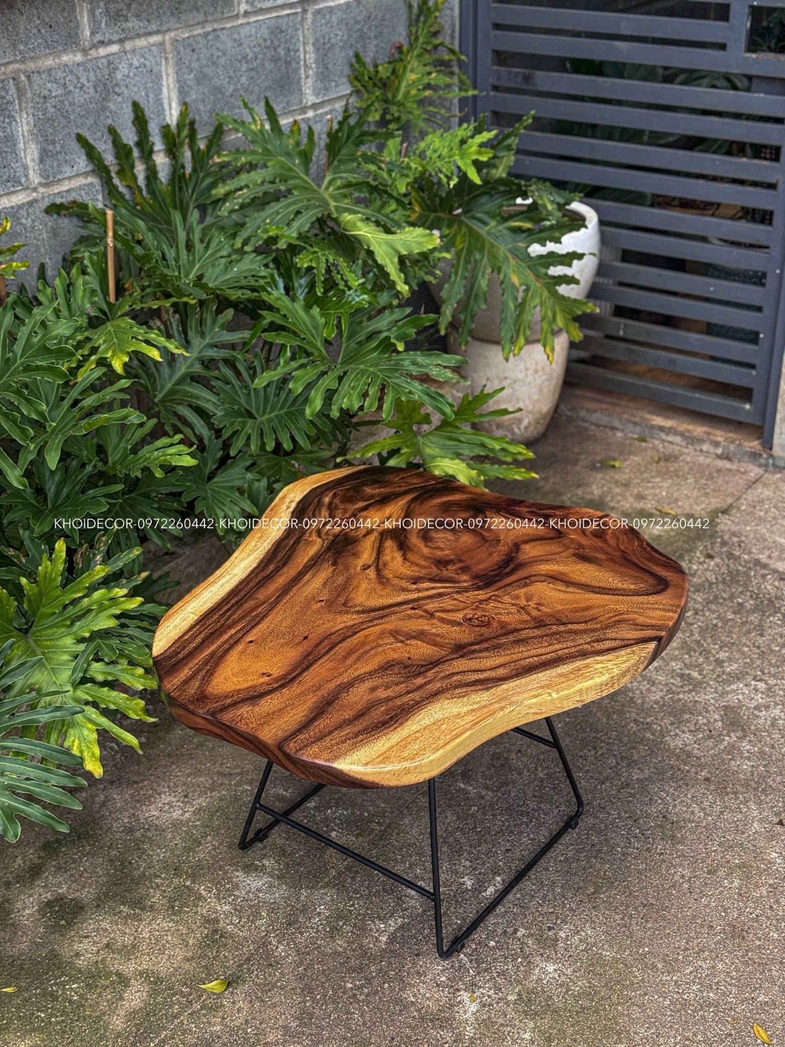  BÀN GỖ ME TÂY 79 x 75 x 3,5 cm 