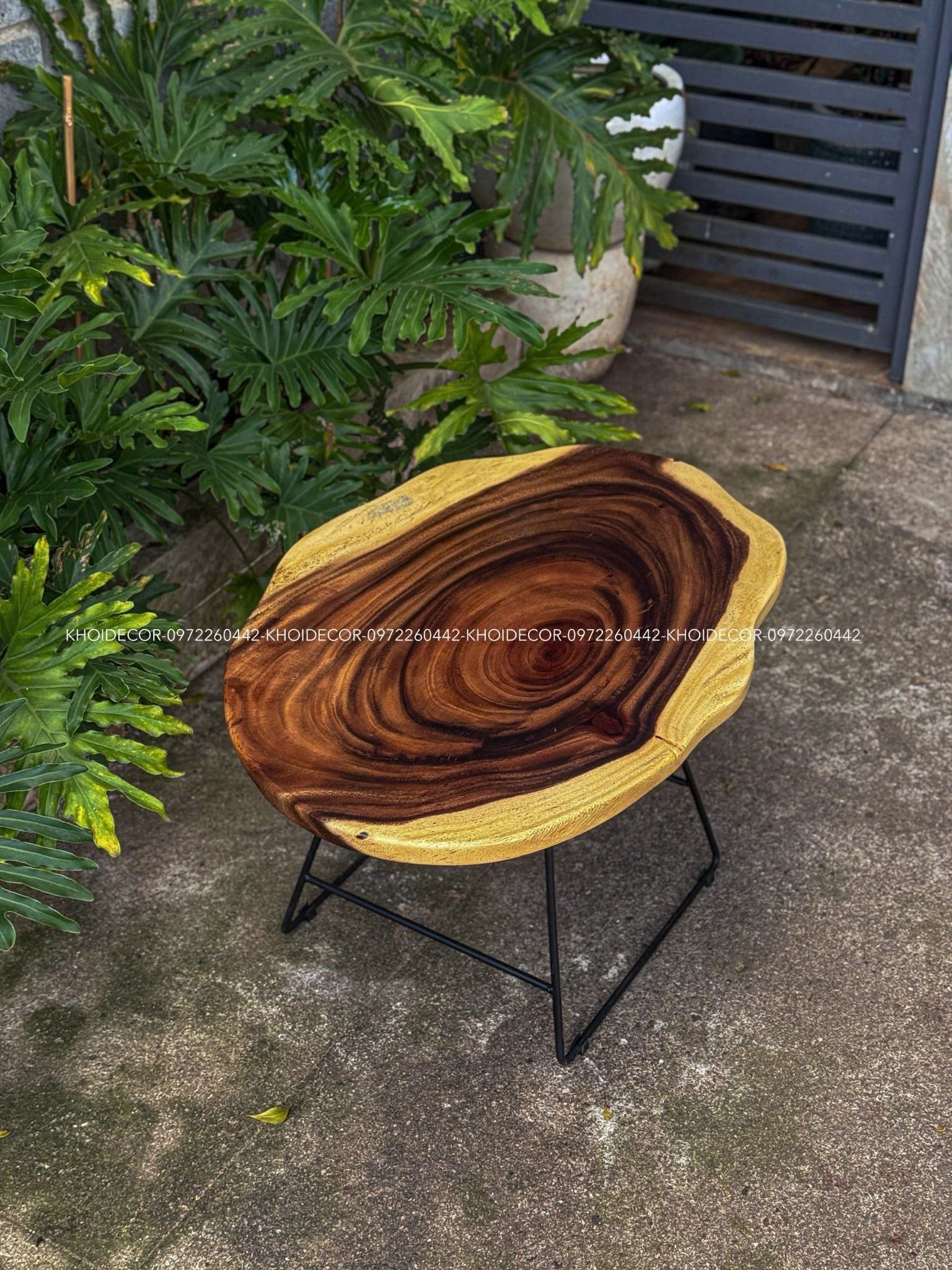  BÀN GỖ ME TÂY 81 x 56 x 3 cm 