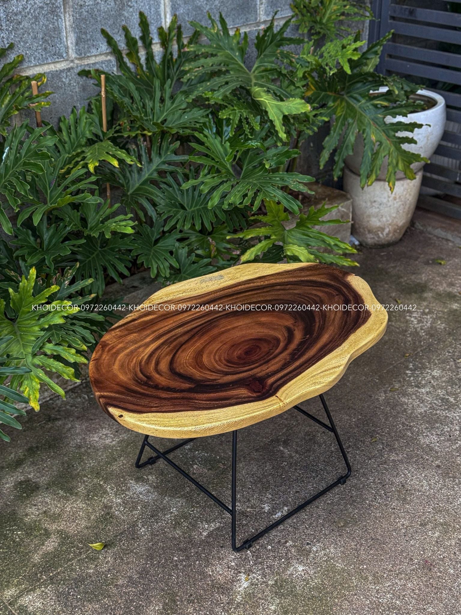  BÀN GỖ ME TÂY 81 x 56 x 3 cm 