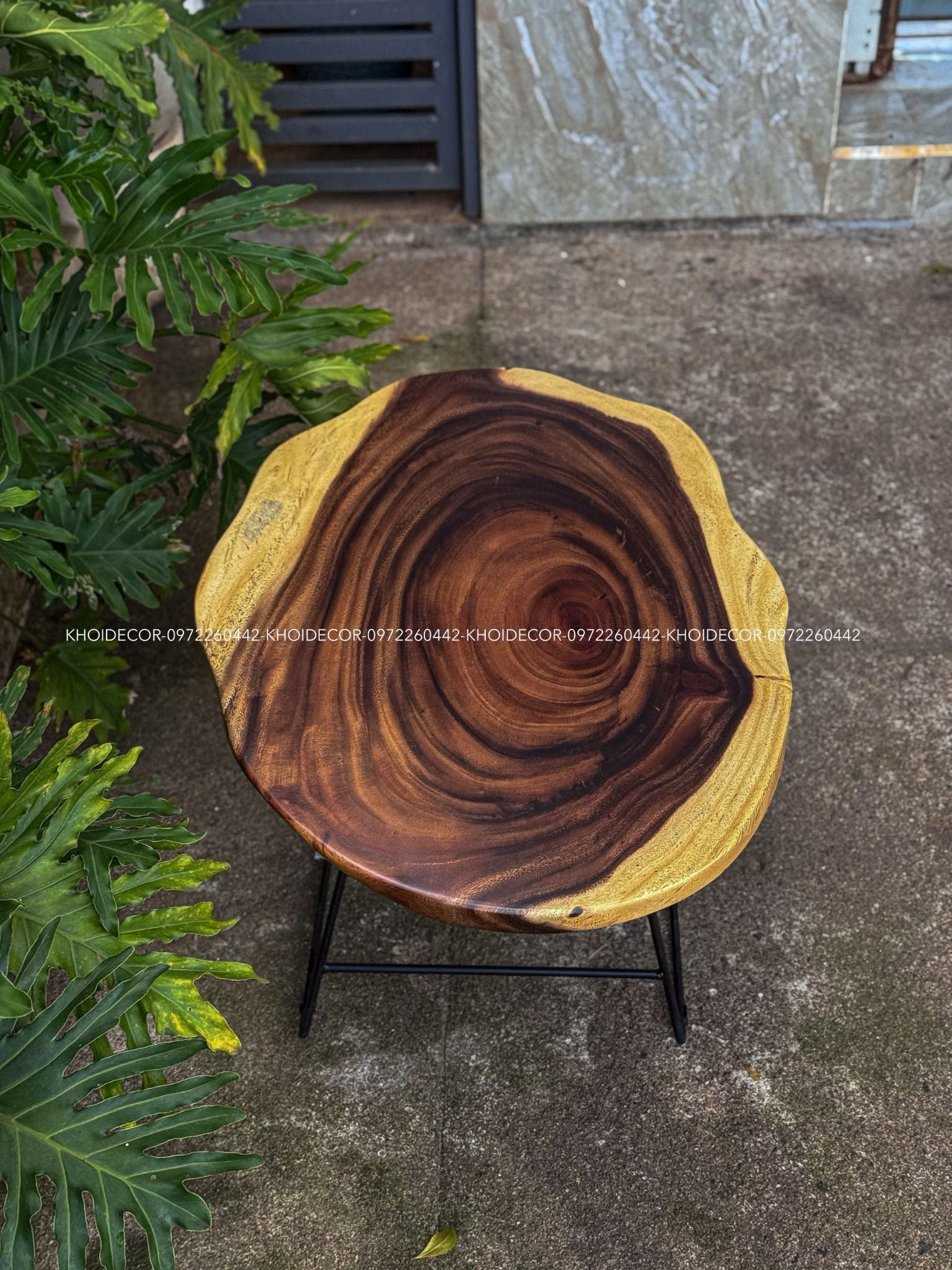  BÀN GỖ ME TÂY 81 x 56 x 3 cm 