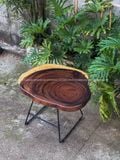  BÀN GỖ ME TÂY 65 x 52 x 5 cm 