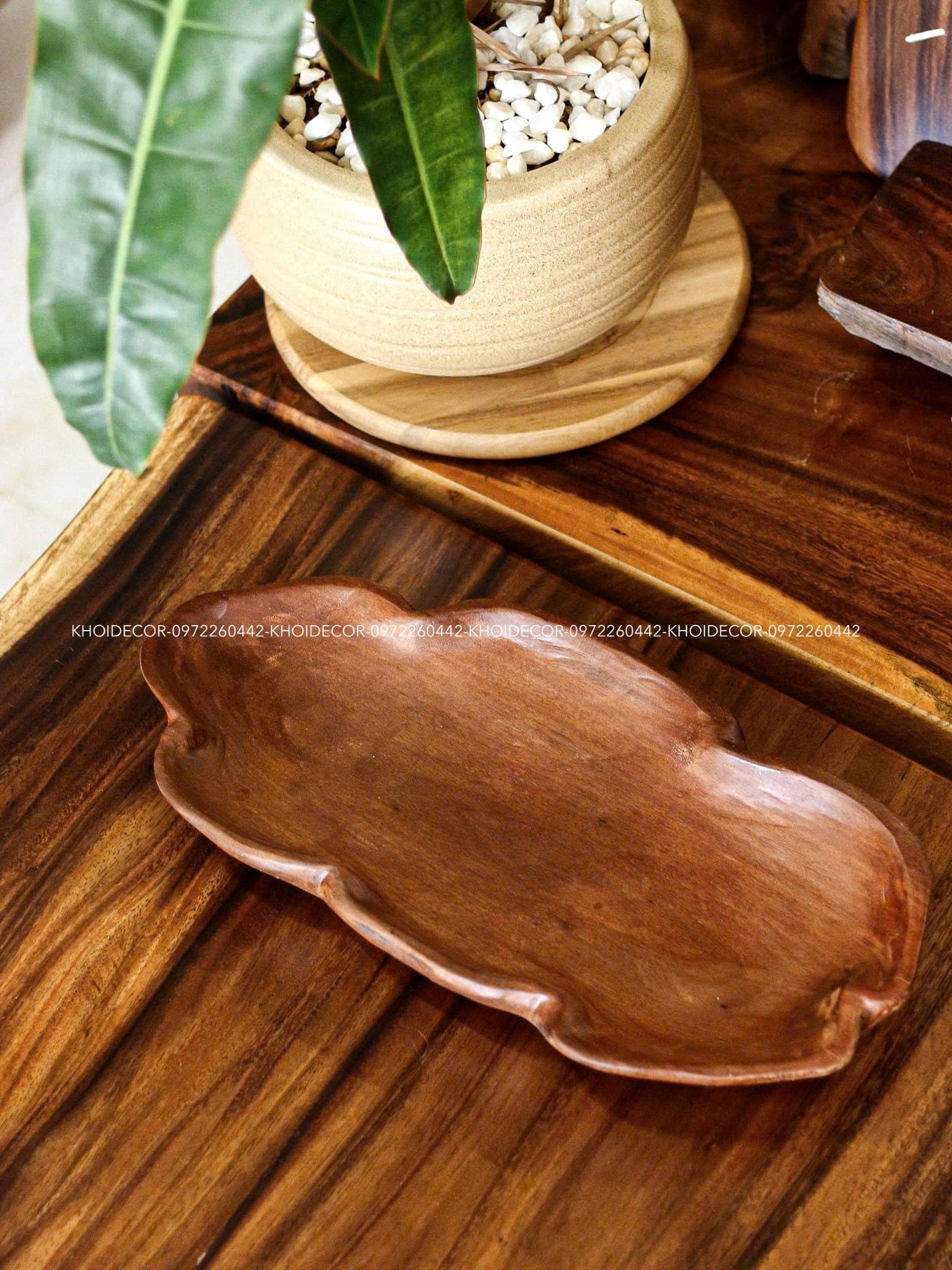  KHAY TRÁI CÂY LŨA SAO- N46 x R22 x D5.5 cm 