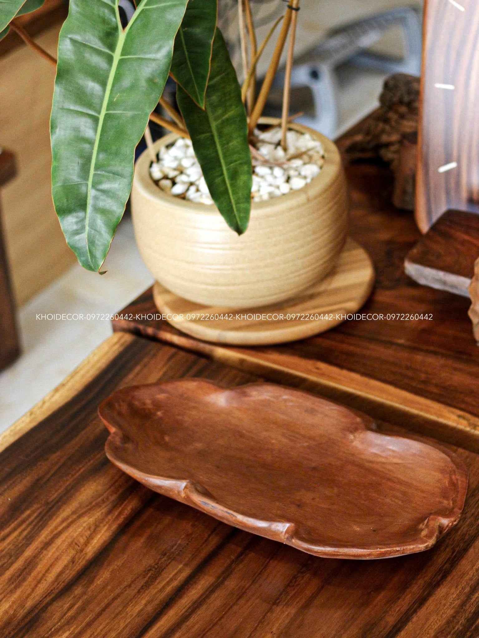  KHAY TRÁI CÂY LŨA SAO- N46 x R22 x D5.5 cm 