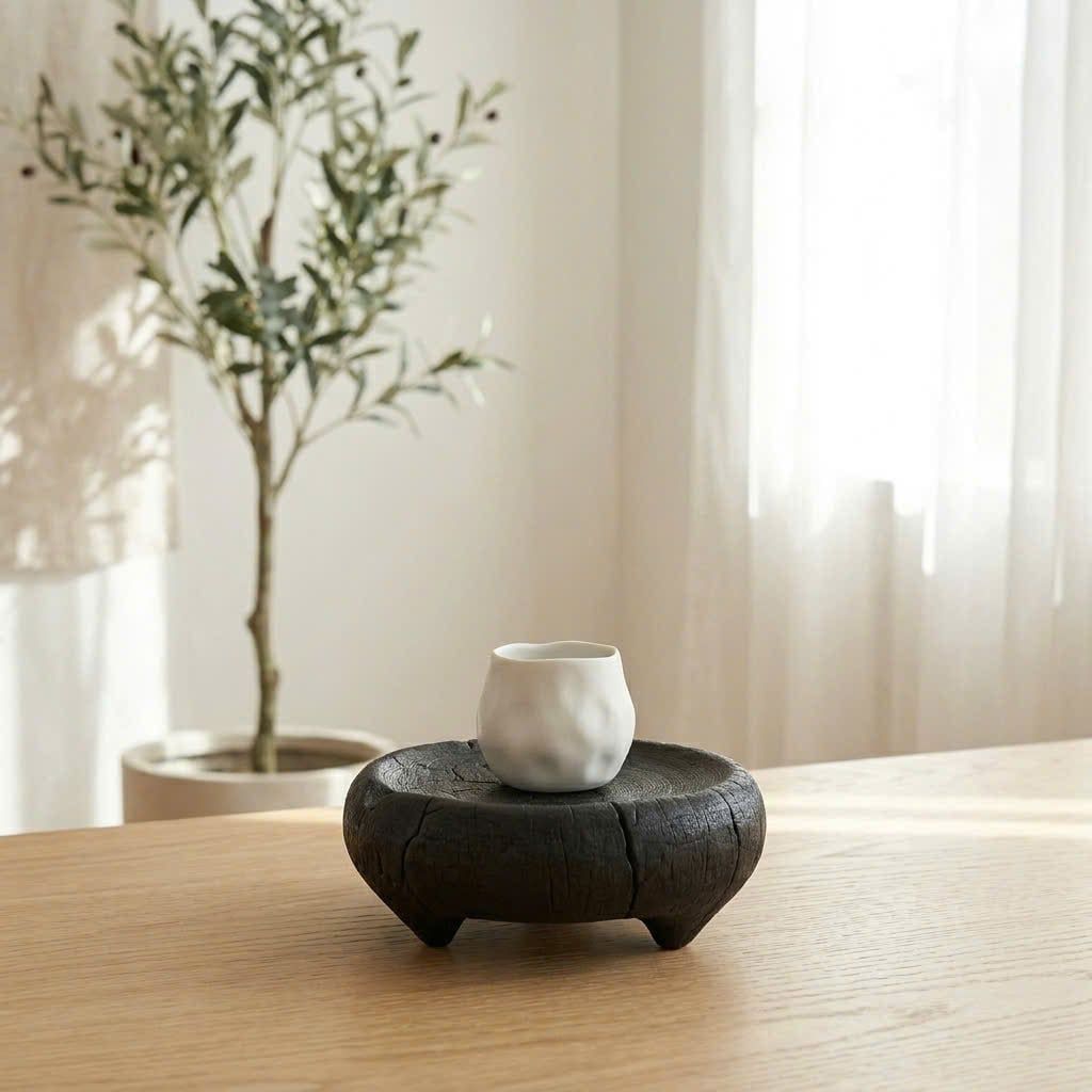 ĐÔN KÊ TƯỢNG - ẤM - BONSAI 