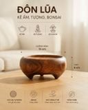  ĐÔN KÊ TƯỢNG - ẤM - BONSAI 