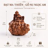  TƯỢNG ĐẠT MA THIỀN - NU NGỌC AM 