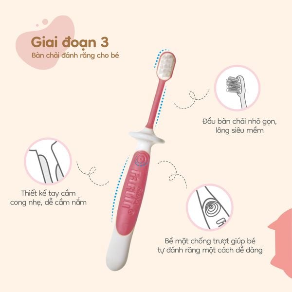 FARLIN Bộ Bàn Chải 3 Giai Đoạn Cho Bé Tập Đánh Răng Hiệu Quả