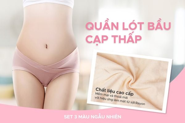 Shapee Quần Lót Bầu Cạp Thấp Mềm Mại, Co Giãn (Set 3 Cái Màu Ngẫu Nhiên)