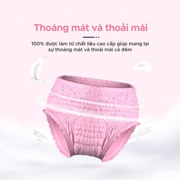 Shapee Tã Quần Cho Mẹ Sau Sinh Co Giãn, Siêu Thấm Hút, Chống Tràn 360 Độ (Set 3 Cái)