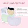 SHAPEE QUẦN LÓT BẦU CẠP THẤP MỀM MẠI, CO GIÃN (SET 3 CÁI MÀU NGẪU NHIÊN)