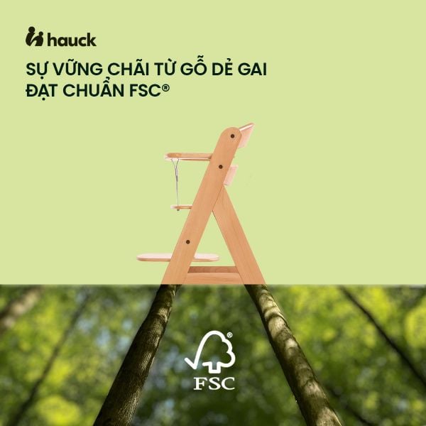 Hauck Alpha+ Ghế Ăn Dặm Bằng Gỗ Thiết Kế Công Thái Học Cho Bé