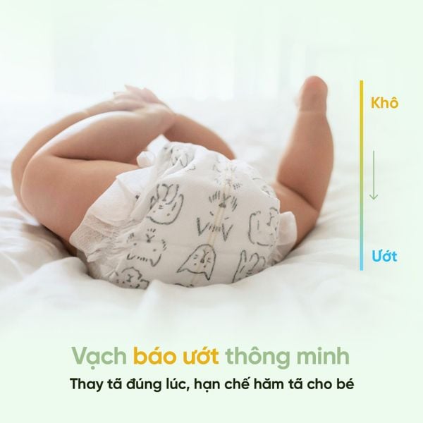 Parasol Tã/Bỉm Dán/Bỉm Quần Thấm Hút, Chống Hăm, Kháng Khuẩn Tự Nhiên Cho Bé