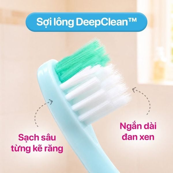 Brush-Baby Bộ 2 Bàn Chải Đánh Răng & Mát Xa Nướu Flossbrush Cho Bé (0 - 3 Tuổi)