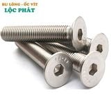 BU LÔNG INOX 304 M10